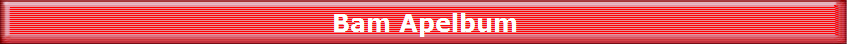 Bam Apelbum