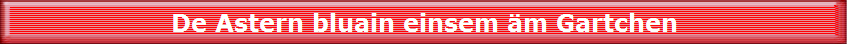 De Astern bluain einsem �m Gartchen