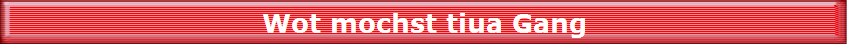 Wot mochst tiua Gang