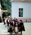 Hochzeitszug