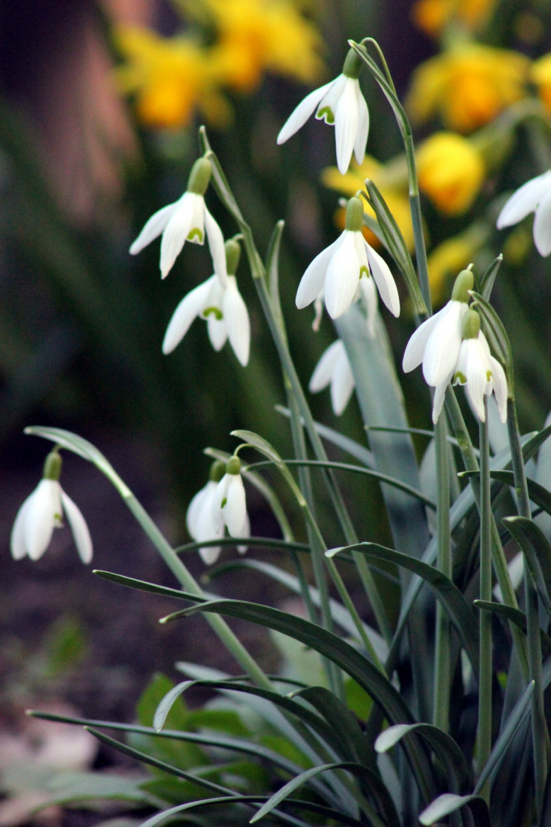 Februar 2015